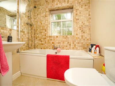 Picture 15